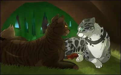 Et enfin, qui sont ces compagnons et compagnes ?