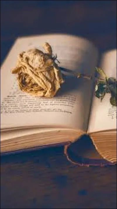 Qui a écrit "Thérèse Desqueyroux" ?