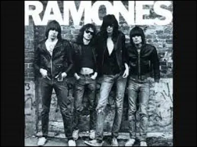 The Ramones ont chanté ''I Wanna Be Your Boyfriend''. Qui n'a PAS été en couple avec Carla Bruni ?