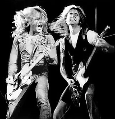 ''Wild Side of Life'' est une reprise de Status Quo. En 1972, qui avait sorti un titre ressemblant : ''Walk on the Wild Side'' ?