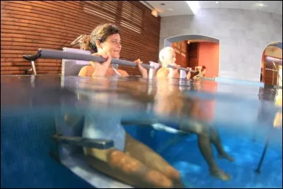 Divonnes-les-Bains possède des établissements spécialisés dans les affections psychosomatiques. Cette station thermale est située :