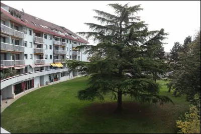 La station thermale d'Uriage-les-Bains bénéficie d'une eau thermale particulière, semblable au sérum sanguin humain. Dans quel département est-elle située ?