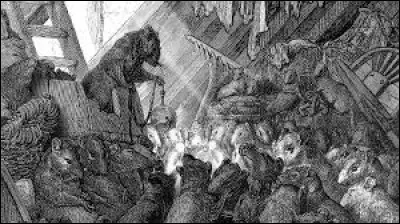 Si bien que leurs rangs s'éclaircissaient. Où le chat les avait-il donc envoyés ?