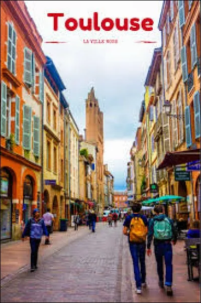 Le biscuit rose est une spécialité de Toulouse, que l'on surnomme "la ville rose".