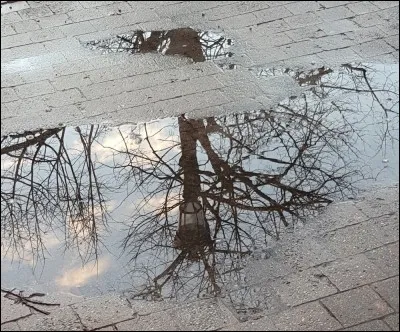 Que symbolise ensuite la métaphore du reflet employée par Socrate dans le discours que nous en rapporte Platon ?