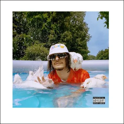 Qu'avait-il inclus dans certaines éditions dans son album "Sex in the City" ?