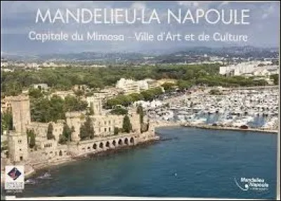 À Mandelieu-la-Napoule (Alpes-Maritimes), les habitants portent le gentilé...