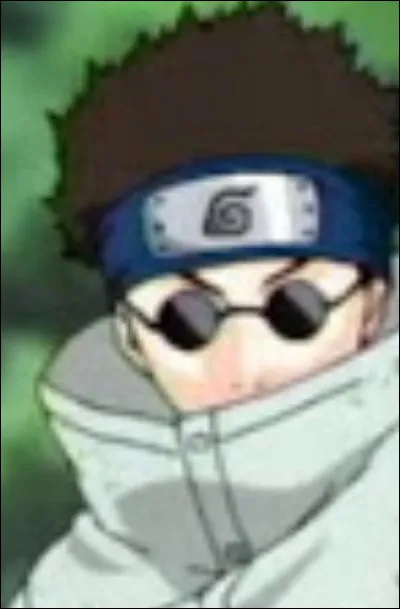 Que maîtrise-t-il ?