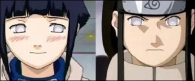 Quel est le lien de parenté entre Neji et Hinata ?