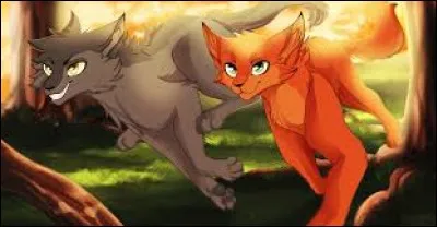 Quel est ce duo d'amis ?