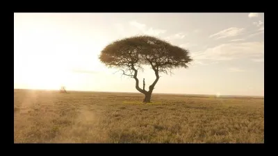 Quel acteur peut-on voir dans le film "La Fureur de vivre" ?