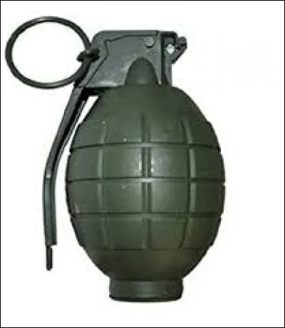 Musique - À quelle chanteuse cette photo vous fait-elle penser ?