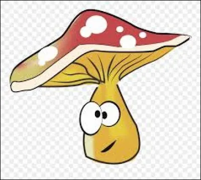 Langue française - Que met-on quand on appuie dessus ?