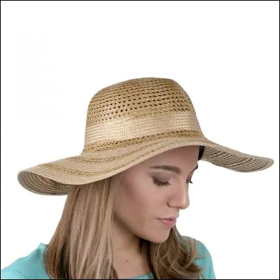 "Les Grandes Espérances" est un long-métrage réalisé par Joseph Losey.