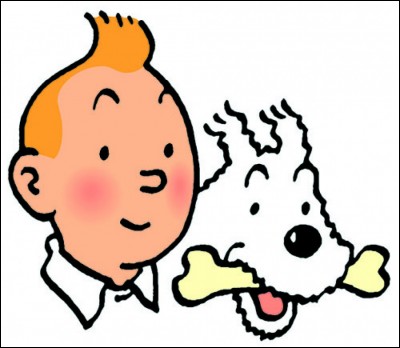Quel est le nom de l'auteur des aventures de Tintin ?