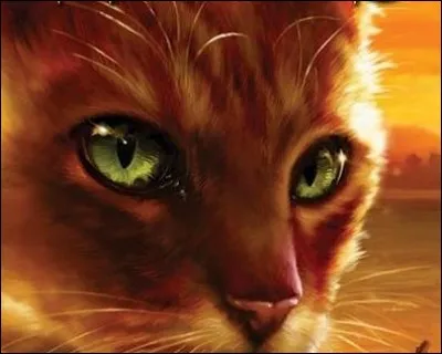 Quand Étoile de Feu (chaton) arrive dans le camp du Tonnerre, contre qui se bat-il ?