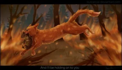 Et son troisième apprenti est :