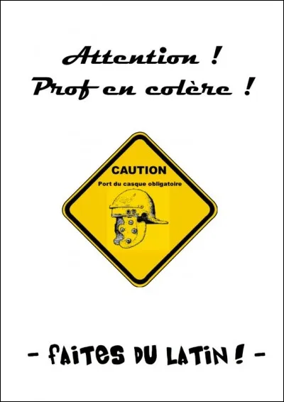 Que veut dire "flavus/flava" ?