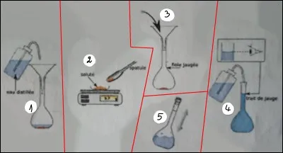 Quel est l'ordre des étapes de la dissolution ?