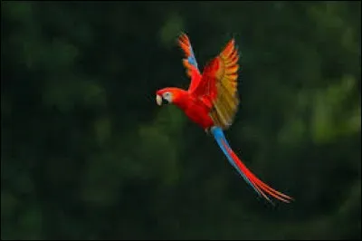 Complétez ce slogan publicitaire - Quand c'est trop, c'est :