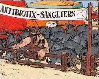 Antibiotix vend des sangliers sur le marché de Burdigala.