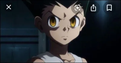 Quelle est la chose que Gon déteste le plus ?