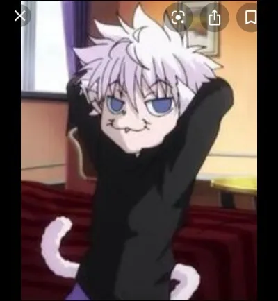 Combien de fois Killua a-t-il failli mourir ?