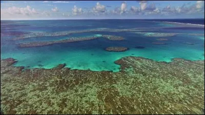 D'où vient cette image ?