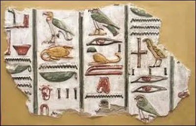 &Eacute;lo&iuml;se sait lire les _______________.