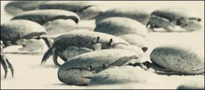 De quel film vient cette image ?