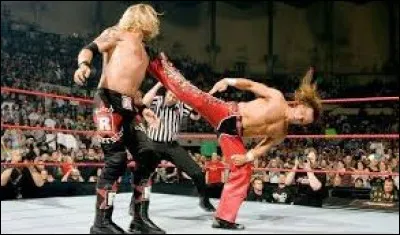 Lequel de ces catcheurs a pour prise de finition le Sweet Chin Music ?