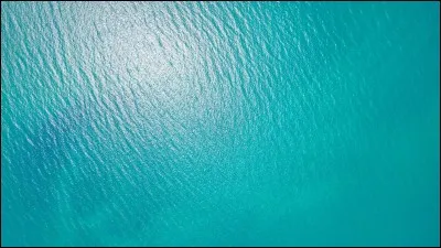 Tu dois donc changer ton animal en turquoise.
Tu prononces la formule et tu agites ta baguette comme tu l'as appris et...