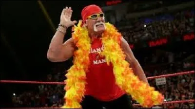 Avec qui Hulk Hogan a-t-il été Champion du monde par équipe de la WWE ?