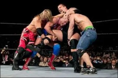 Lequel de ces hommes a gagné le Royal Rumble 2004 ?