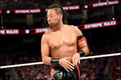 De quel pays nous vient Shinsuke Nakamura ?
