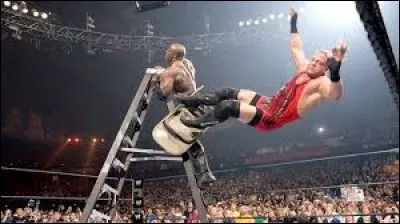 Qui remporte le Money in the Bank en 2006 ?