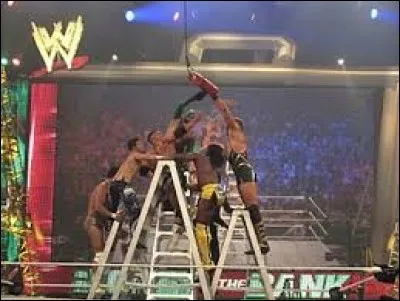 Qui fut Mister Money in the Bank en 2010 ?
