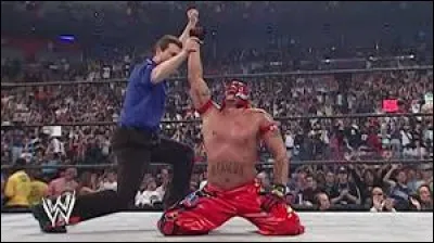 Qui a remporté le Royal Rumble 2006 ?