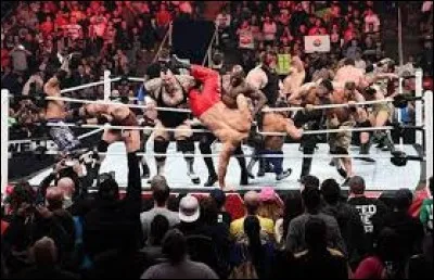 Qui est resté le plus longtemps dans un Royal Rumble match ?