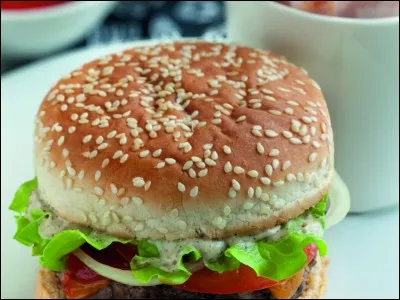De quel pays les hamburgers sont-ils originaires ?