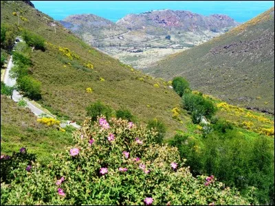 Dans quel pays Hergé situe-t-il l'intrigue dans l'album de Tintin intitulé "l'Île noire" ?