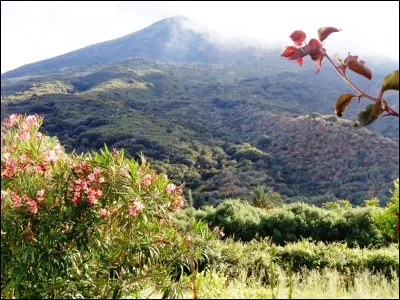 Parmi ces trois îles, laquelle ne se situe pas dans le même océan que les deux autres ?