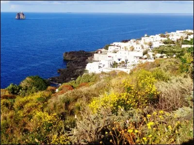 D'après le titre d'un roman de Jules Verne, quel adjectif qualifie l'île ?