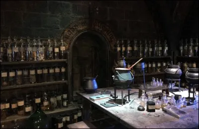 À Poudlard, quelle est ta matière préférée ?