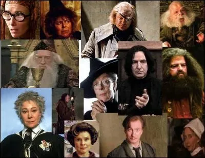 Qui est ton professeur préféré à Poudlard ?
