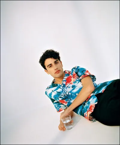 Qui chante "Quand j'étais chanteur" ?