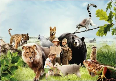 Quelle race d'animal est un briard ?