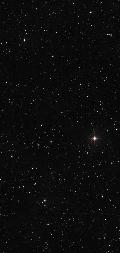 Quel est ton type de film préféré ?