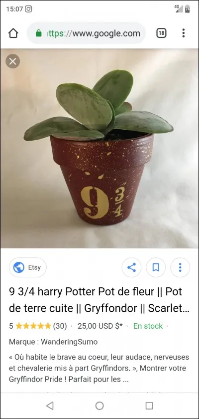 Quel est ton couple ''Harry Potter'' préféré ?