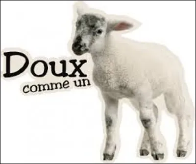 "Se dit d'une personne au caractère pur, incapable de méchanceté." - Être doux comme :